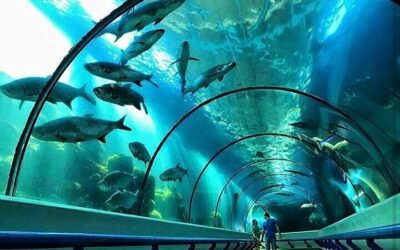 Acuario Nacional