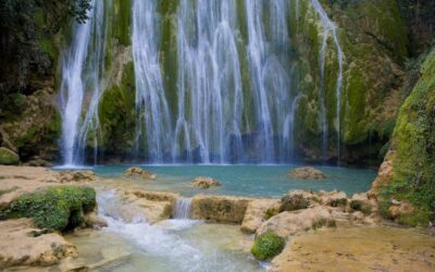 El salto del limón